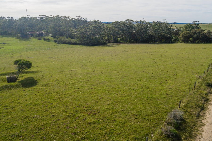 0 Bedroom Property for Sale in Alexandria Eastern Cape